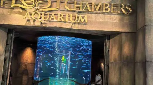 Lost World Aquarium in Dubai - Photo 3