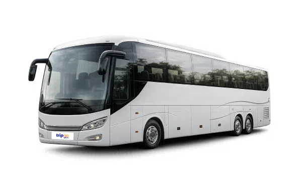 44-Seater Coach with Tour Guide 44-Seater Coach with Tour Guide